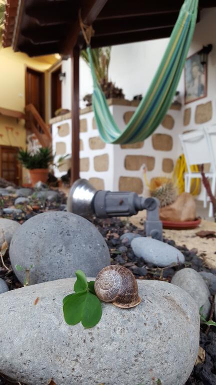 גרנדילה דה אבונה Casa Rural El Traspatio מראה חיצוני תמונה